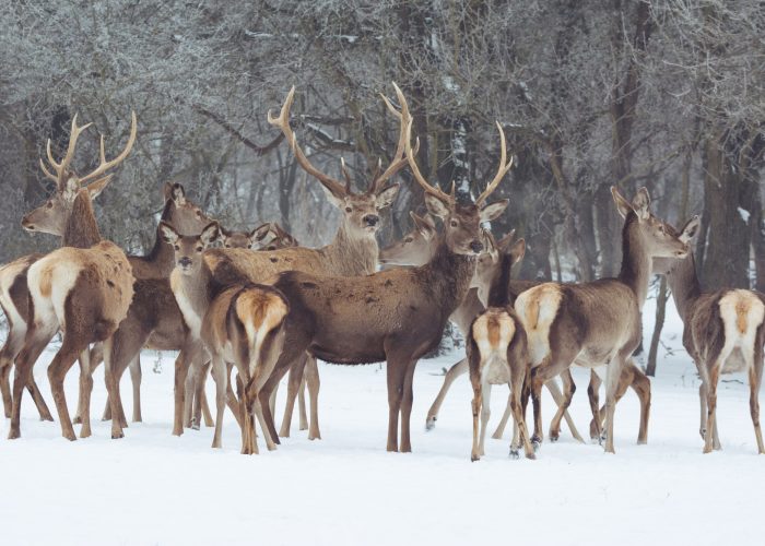 Foto AKTUELNOSTI